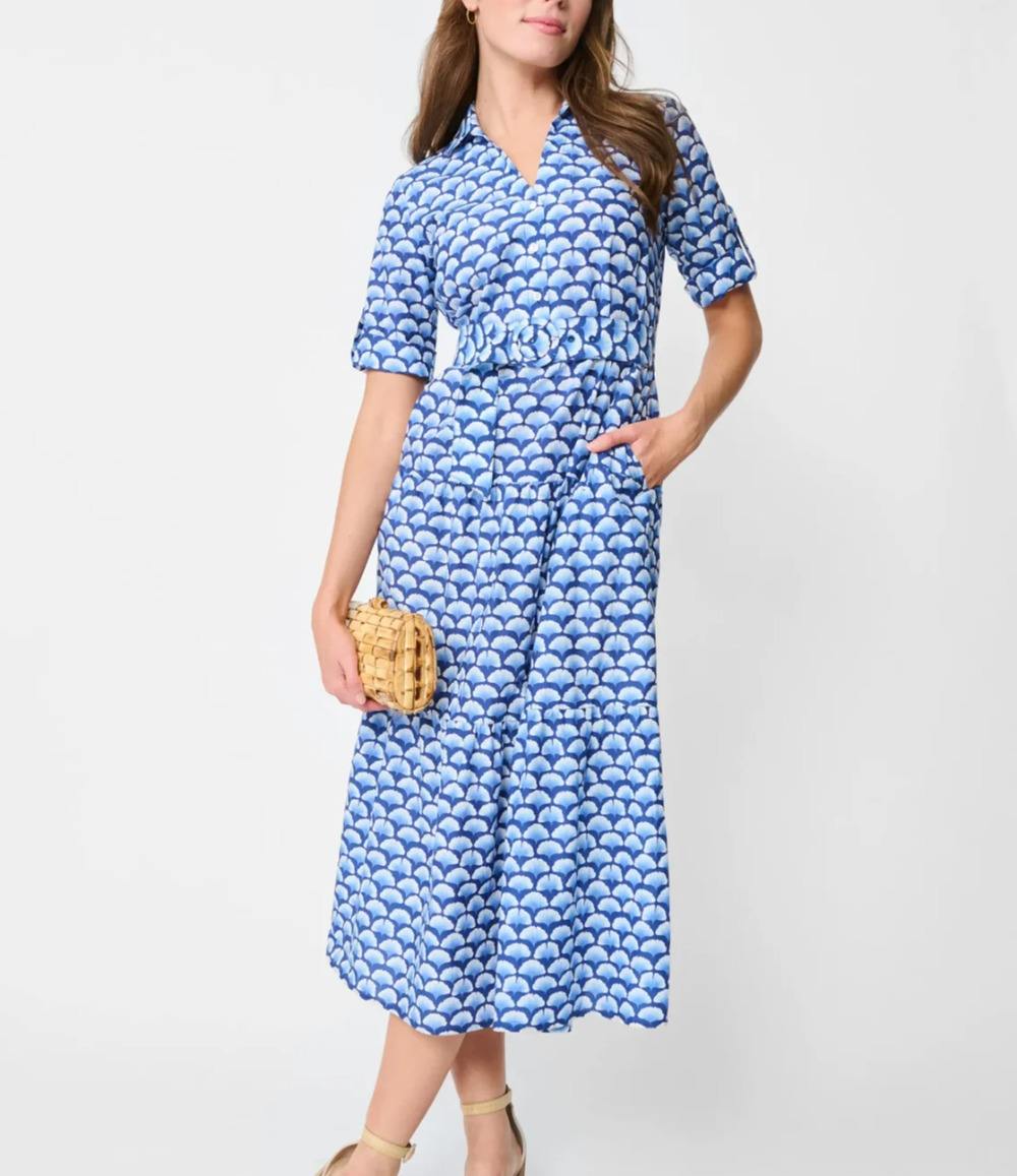 J.McLaughlin Janelle Silk Blue White Ginkgo Print Shirt Dress Tie Waist Size S